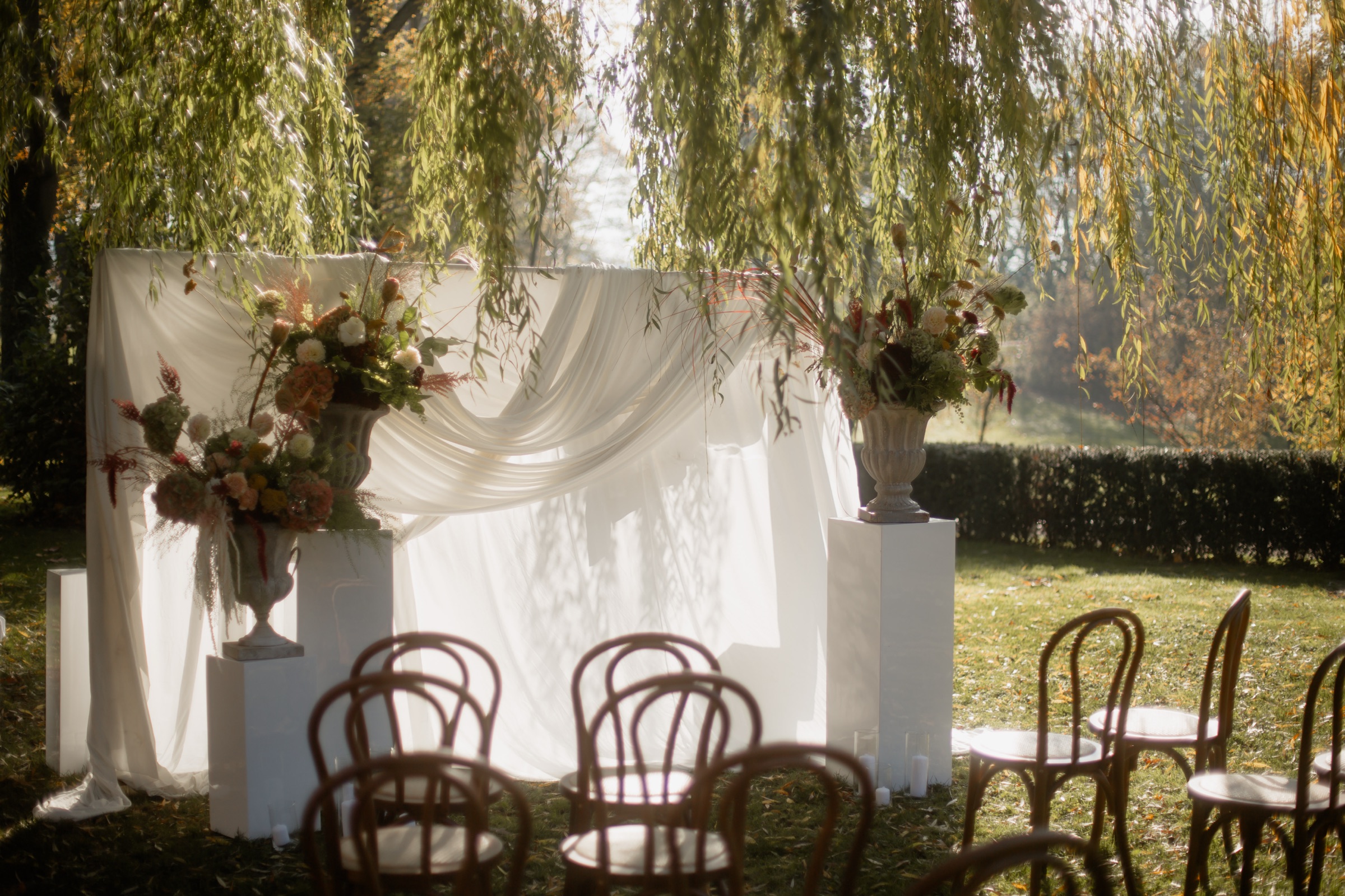Ceremony backdrop under the willows